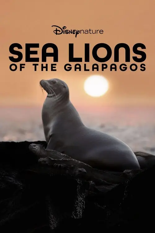 Sea Lions of the Galapagos Poster