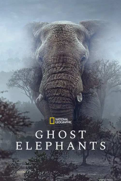 Ghost Elephants Poster