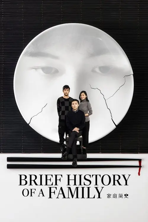 Brief History of a Family Poster