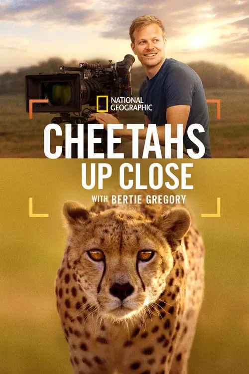 Cheetahs Up Close with Bertie Gregory Poster