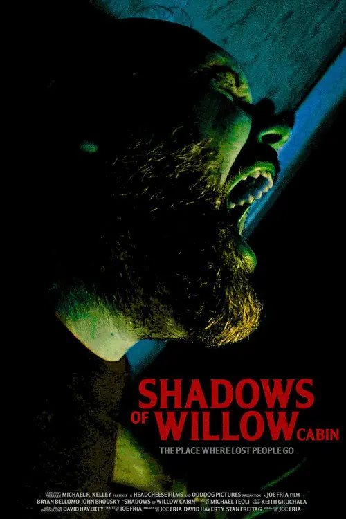 Shadows of Willow Cabin Poster