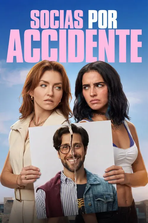 Accidental Partners Poster